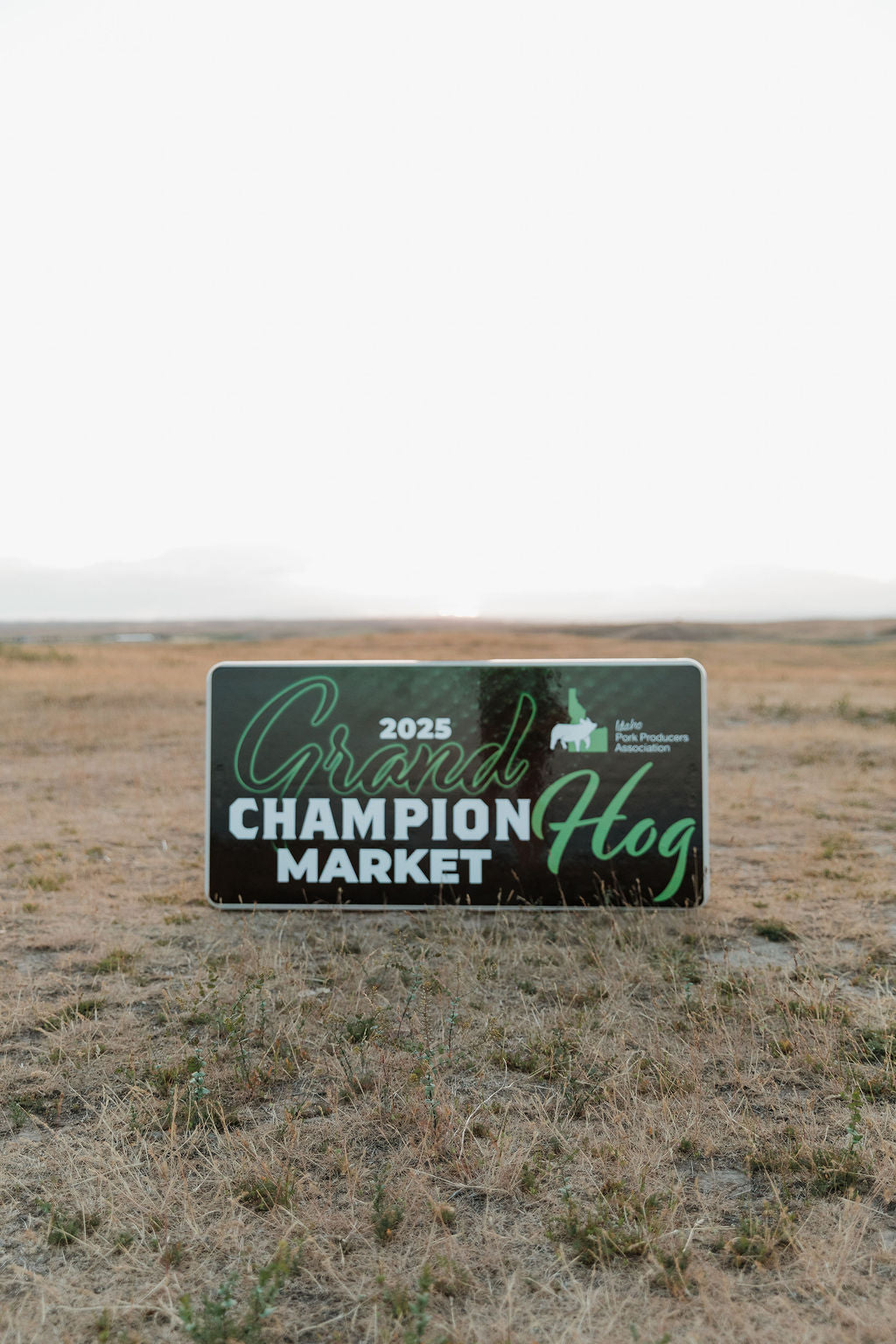 Wrapped Rectangle Feed Table