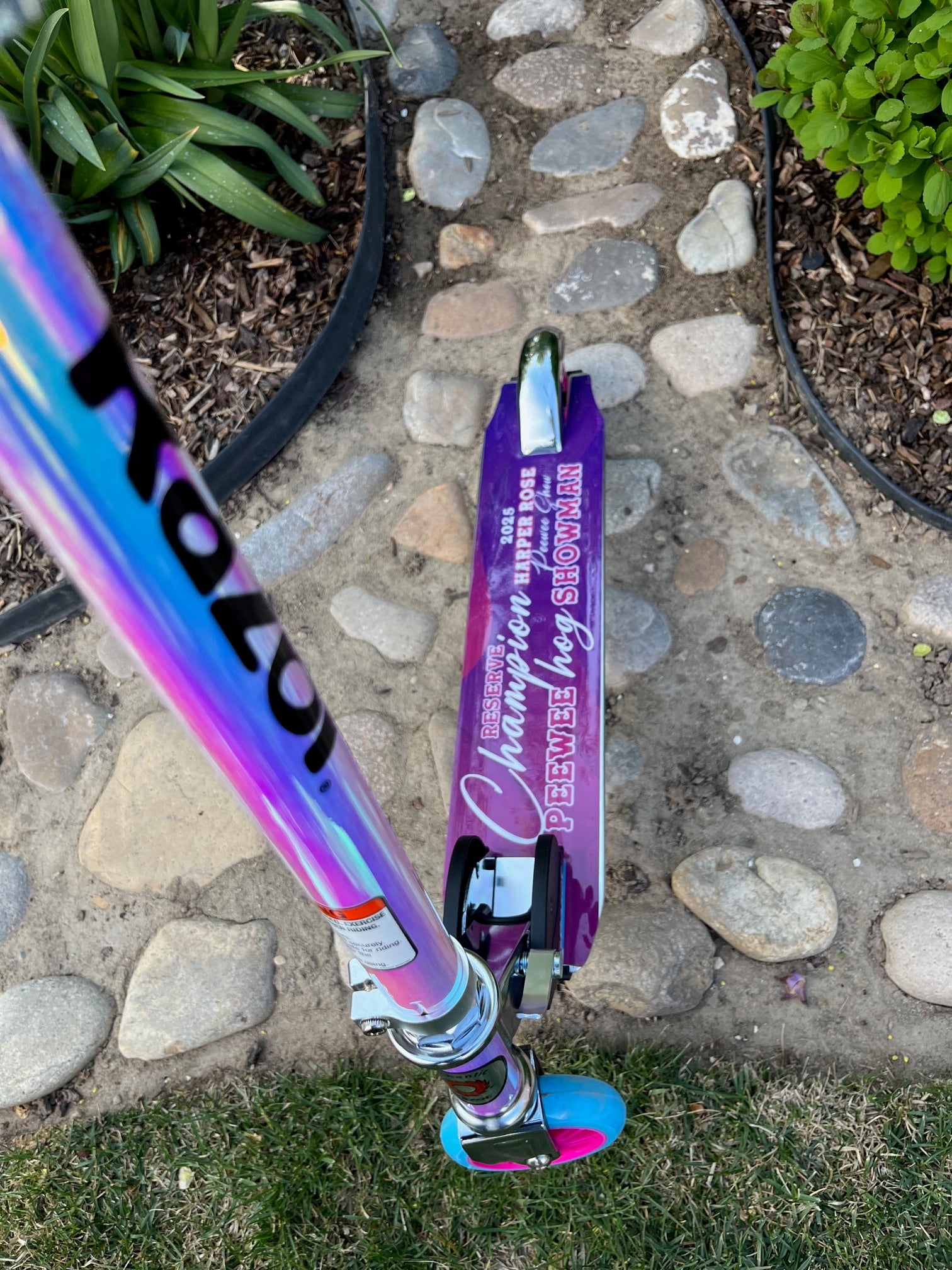 Small Wrapped Razor Scooter