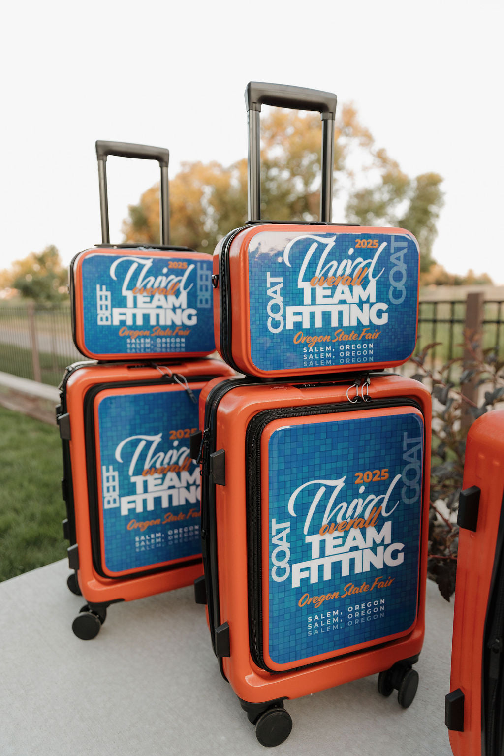Wrapped Carry-On Suitcase Set