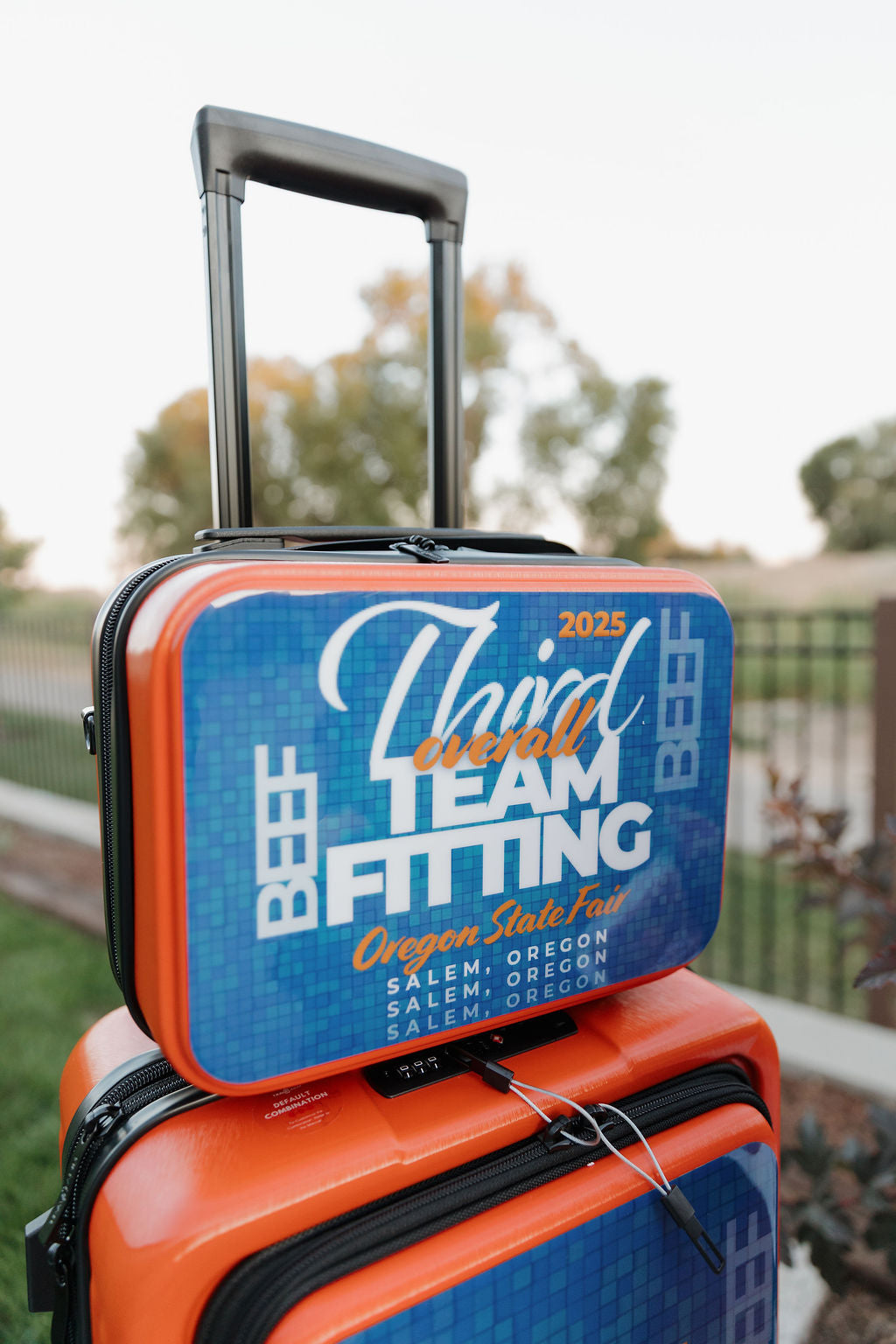 Wrapped Carry-On Suitcase Set