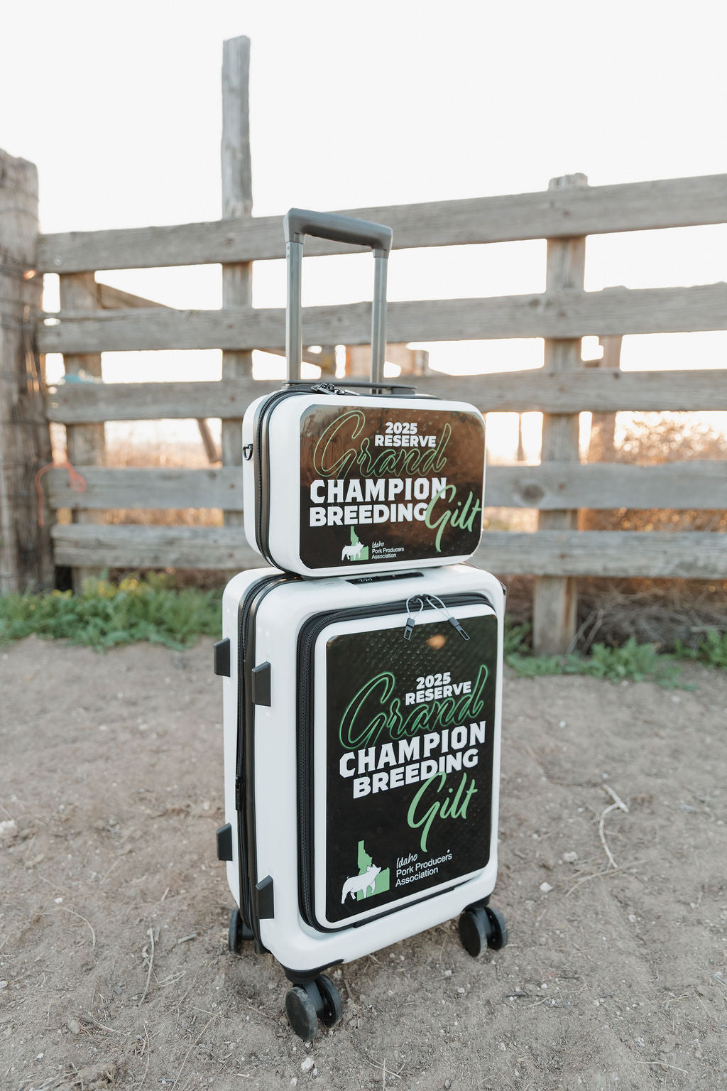 Wrapped Carry-On Suitcase Set