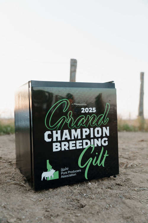 1.6 CU FT Mini Fridge