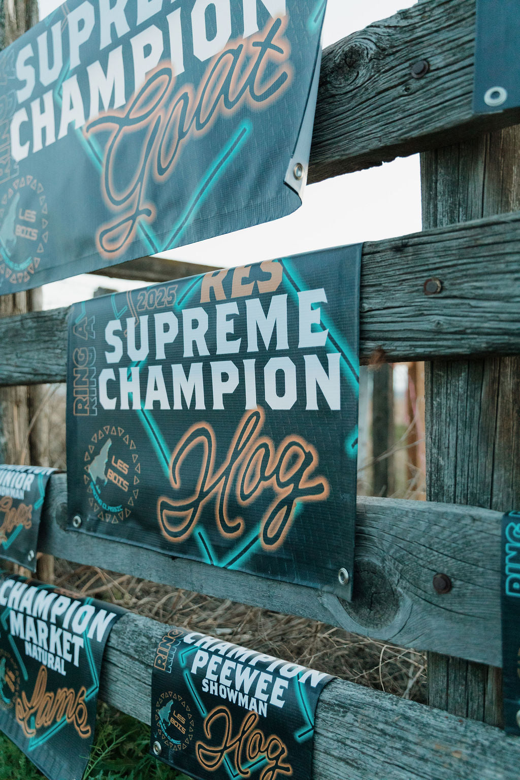 Vinyl Banners