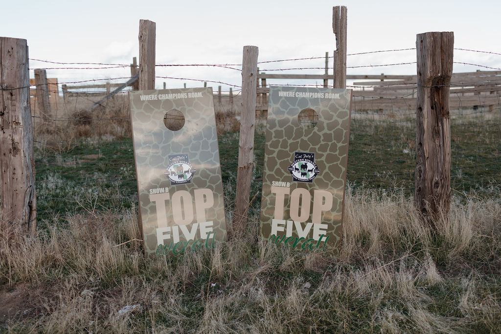 Cornhole Set