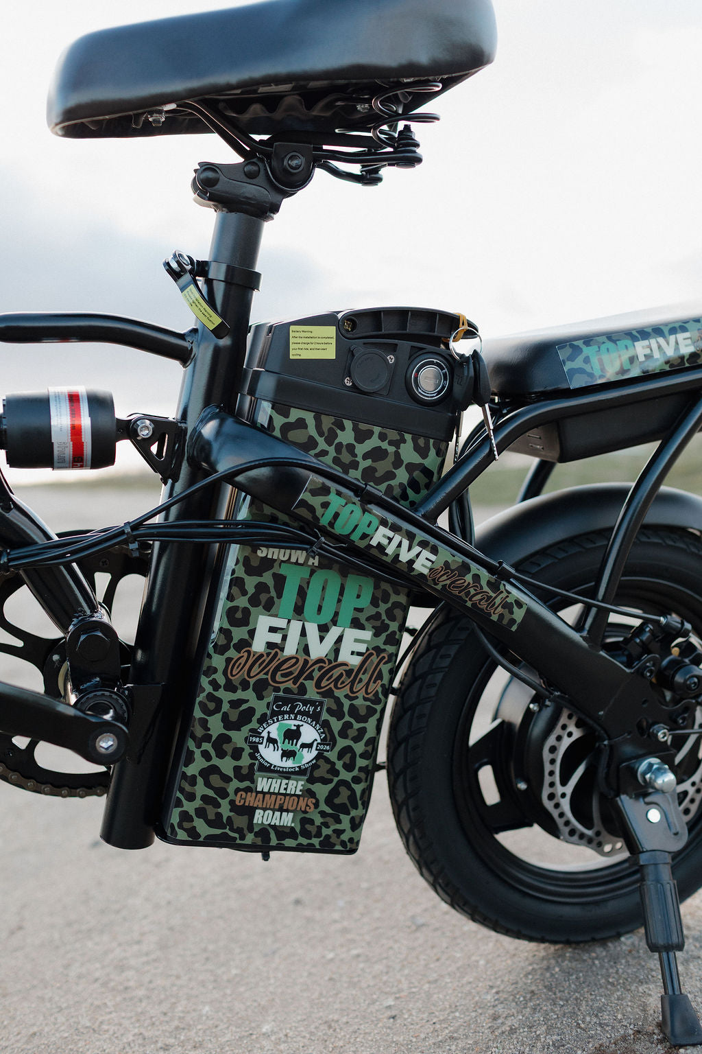 E-Bike