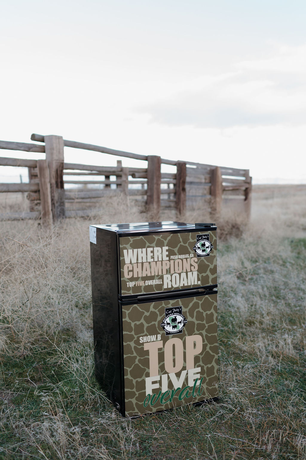 Wrapped 3.1 CU FT Mini Fridge