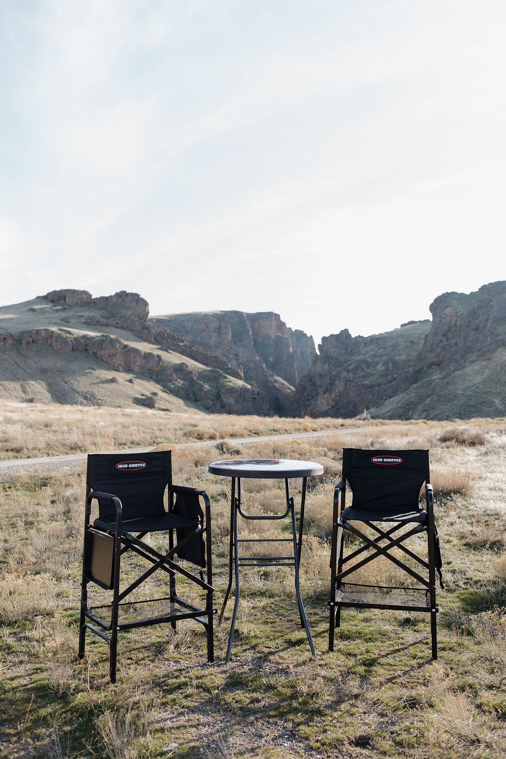 Director Chair Set