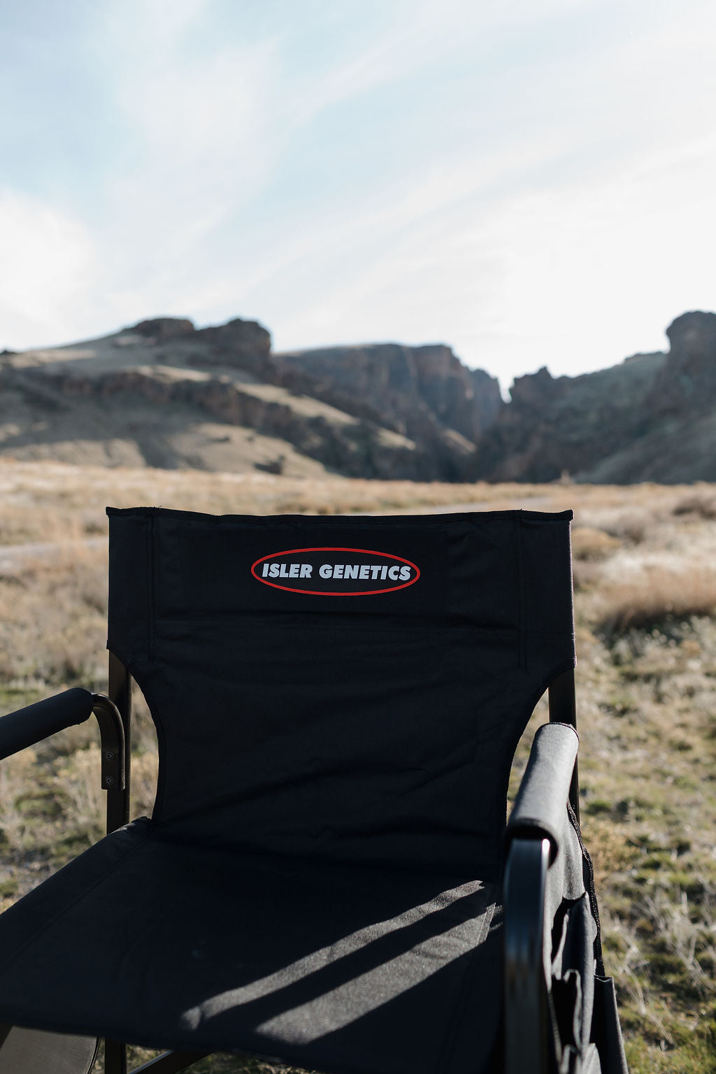 Director Chair Set