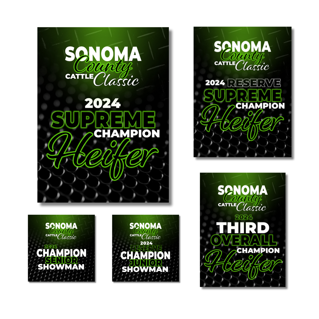 Vinyl Banners