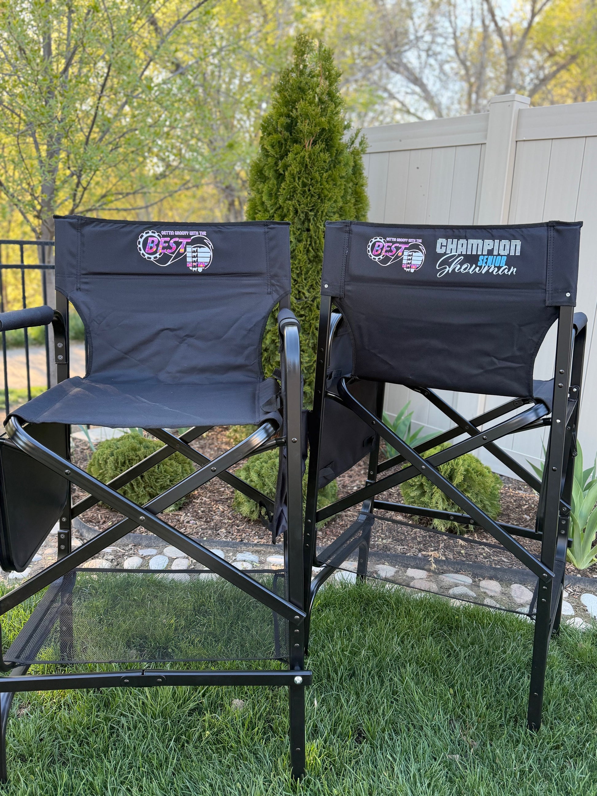 Director Chair Set