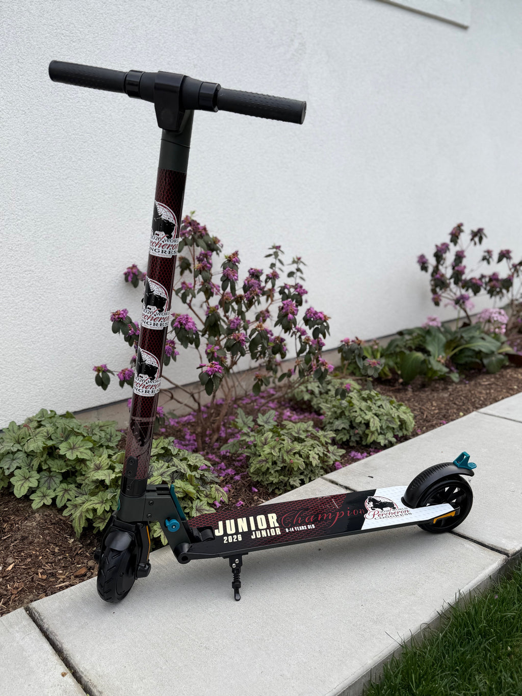 Electric Wrapped Scooter