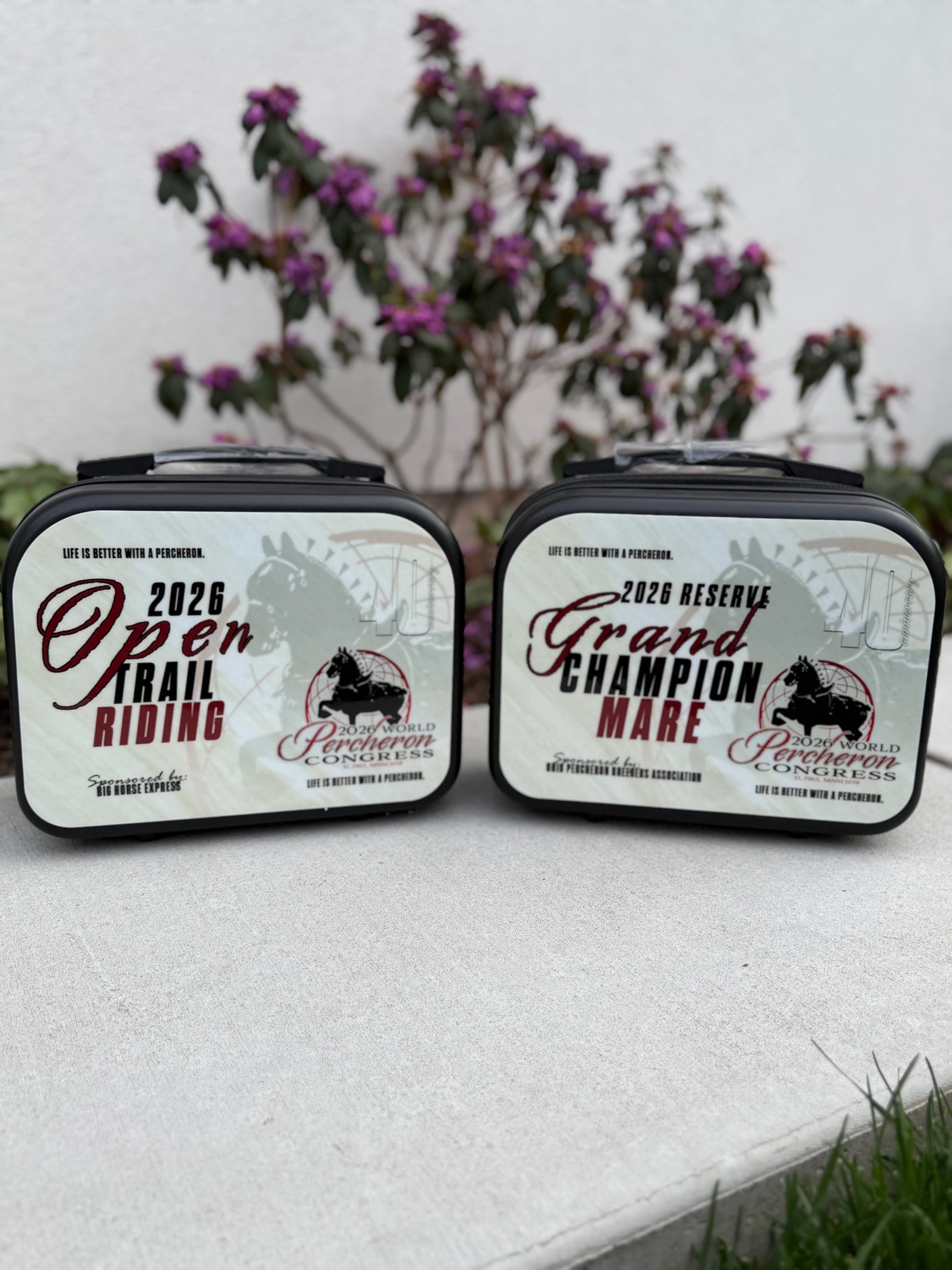 Cosmetic Case