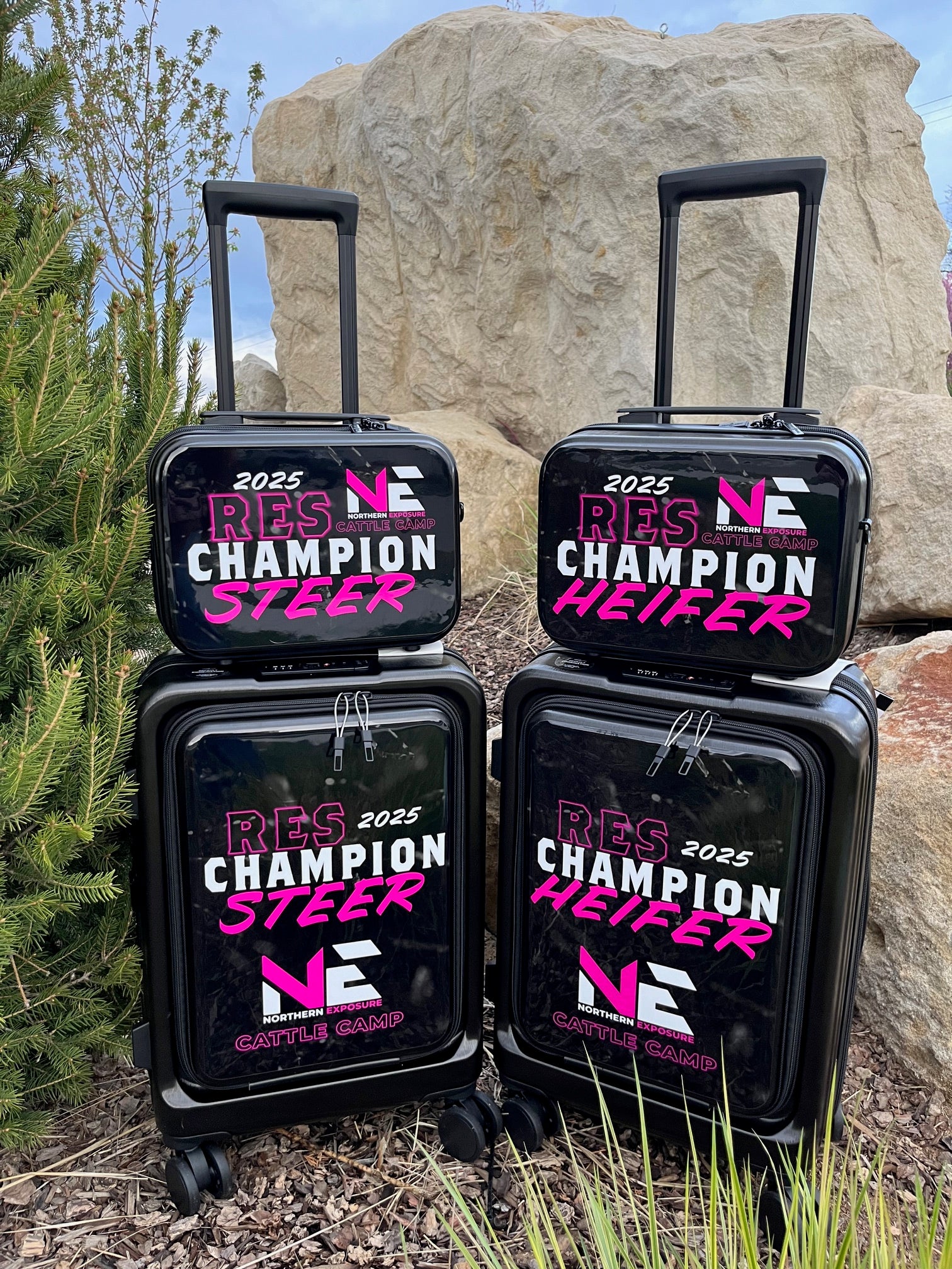 Wrapped Carry-On Suitcase Set