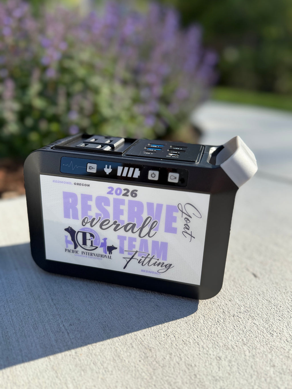 Portable Power Station