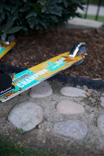 Small Wrapped Razor Scooter