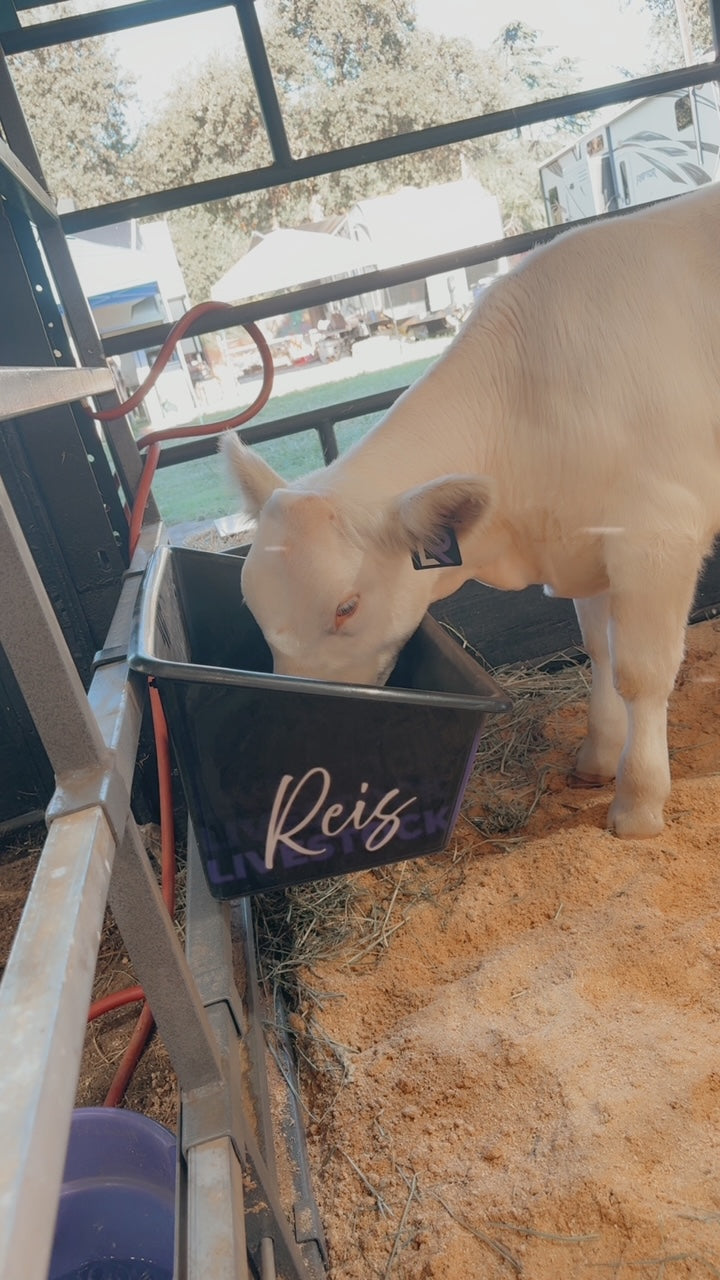 Wrapped Hi Back Feeder
