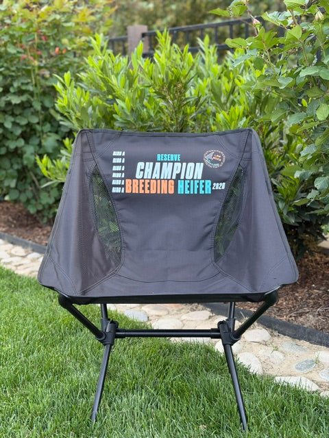 Low Scoop Chair
