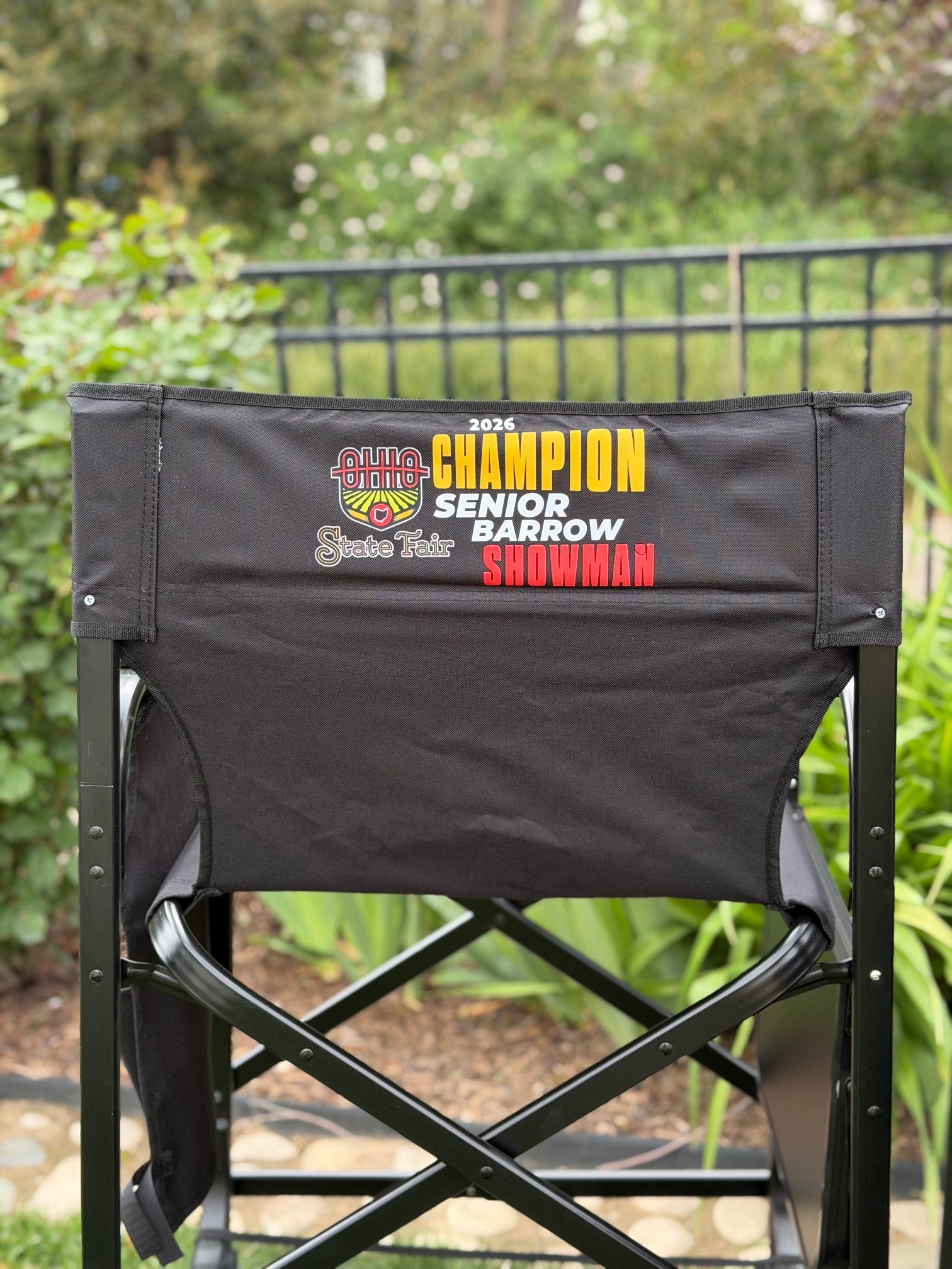 Director Chair Set