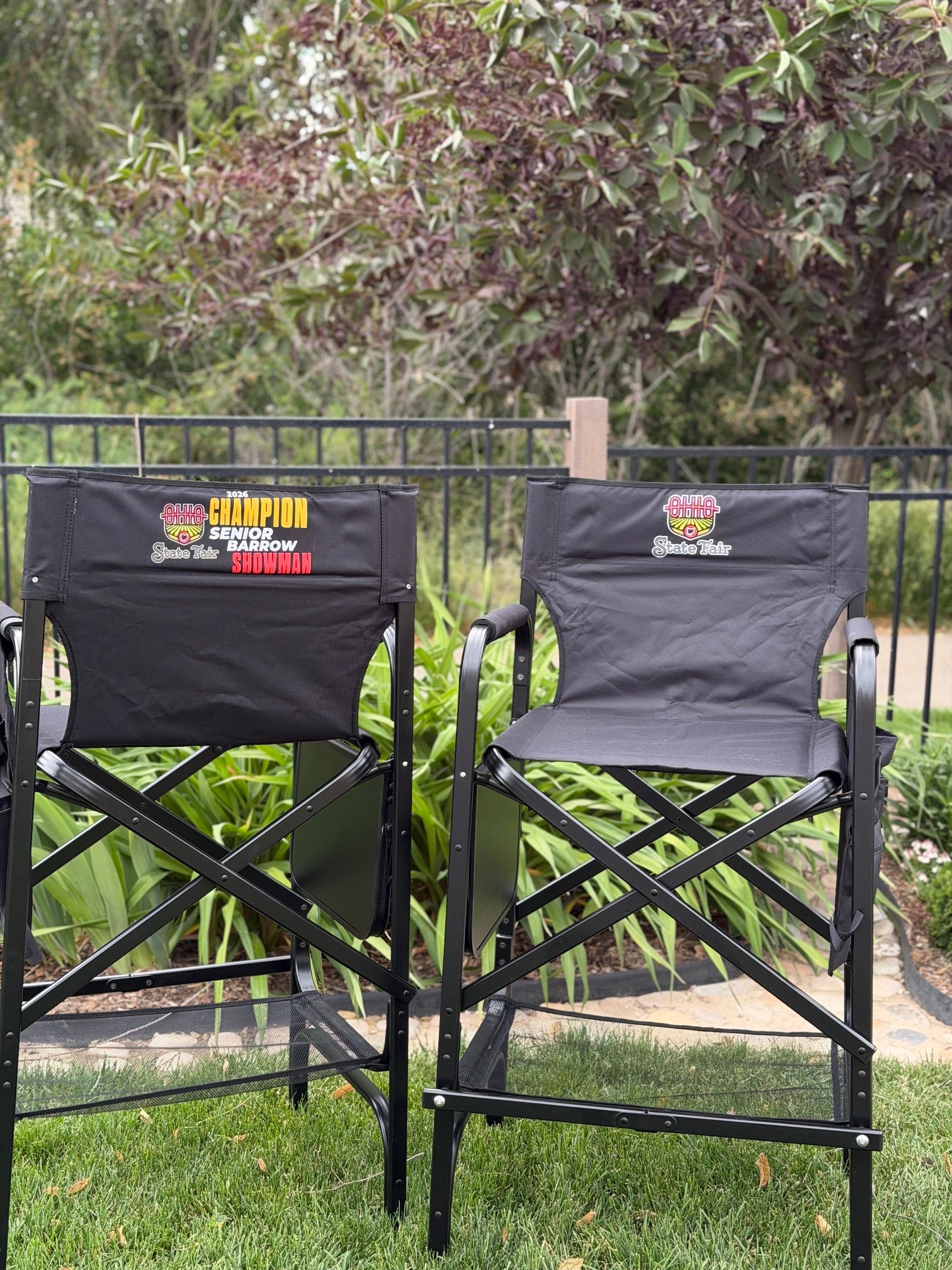 Director Chair Set