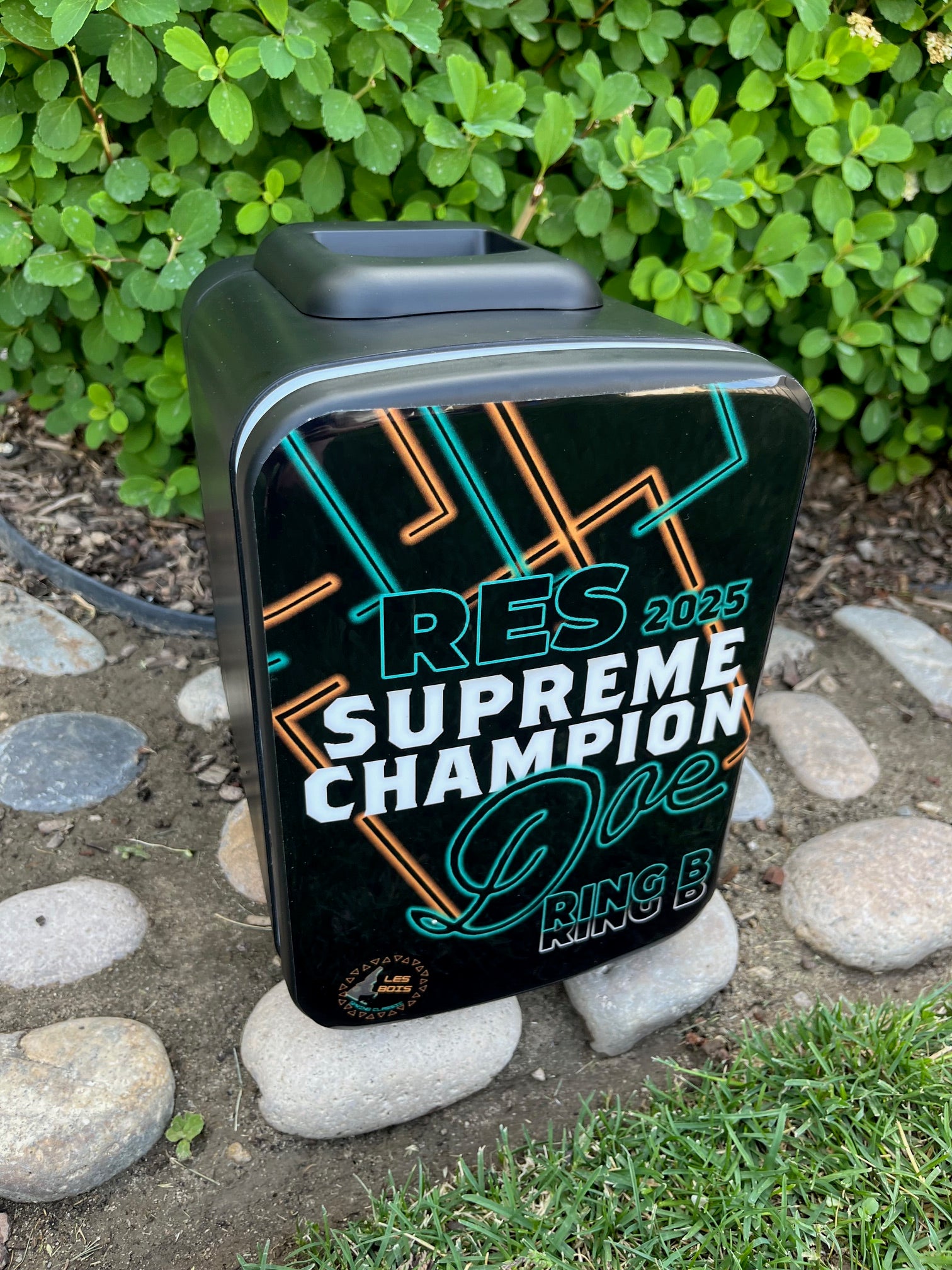 Wrapped 6 Can Mini Fridge