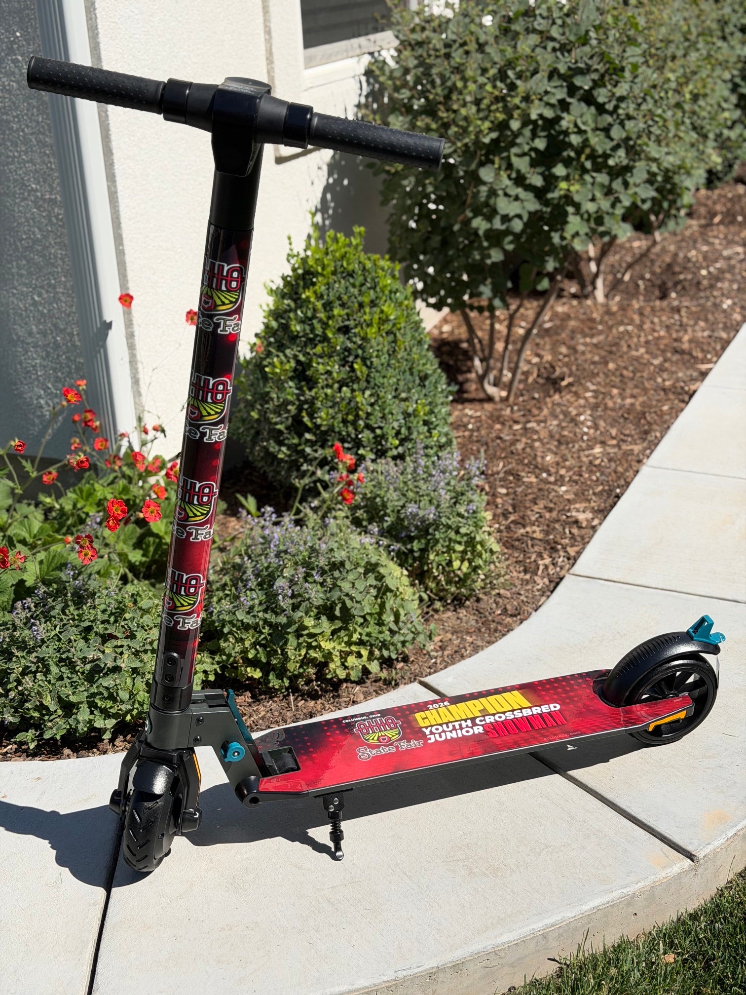 Electric Wrapped Scooter