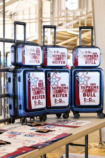 Wrapped Carry-On Suitcase Set