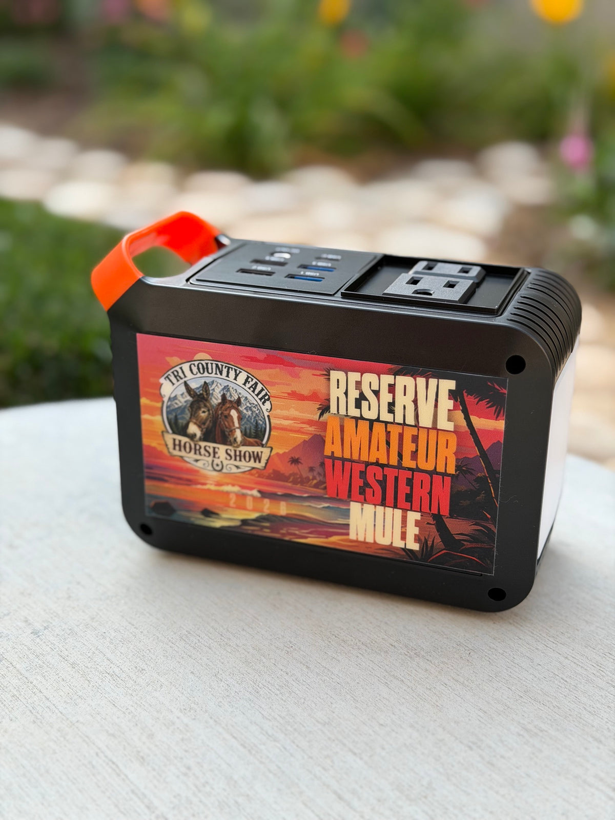Portable Power Station