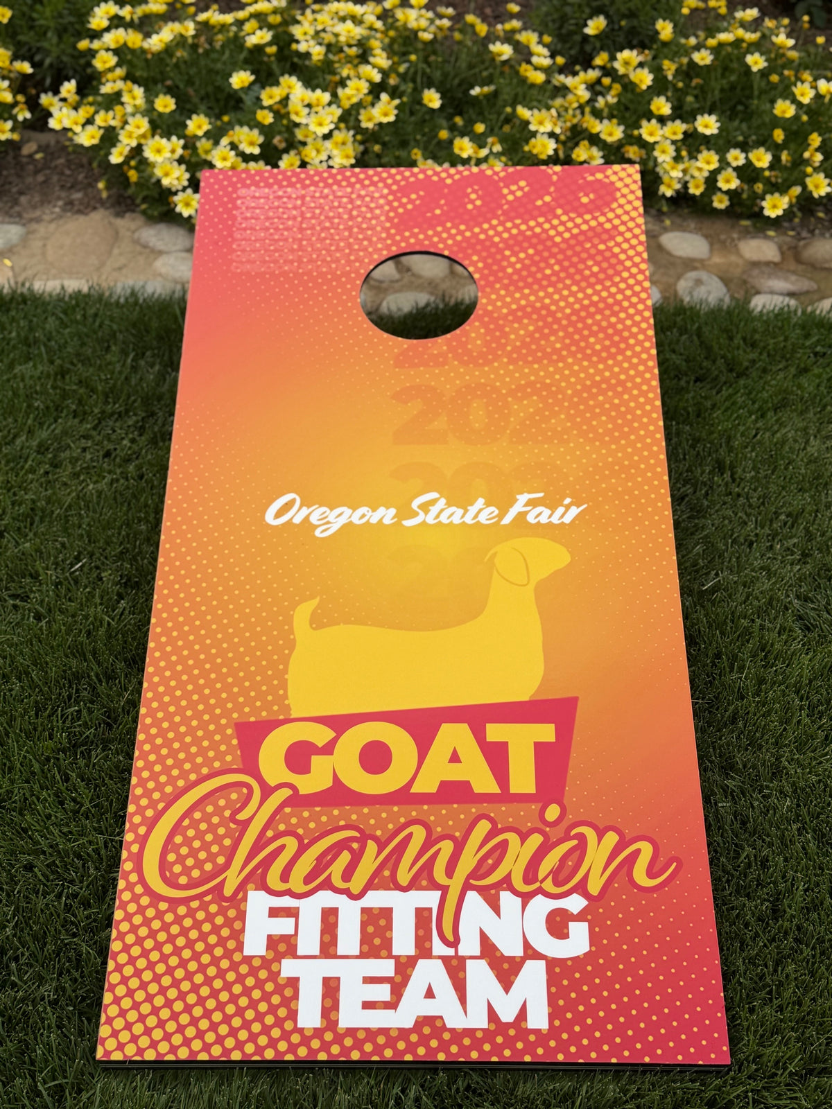 Cornhole Set