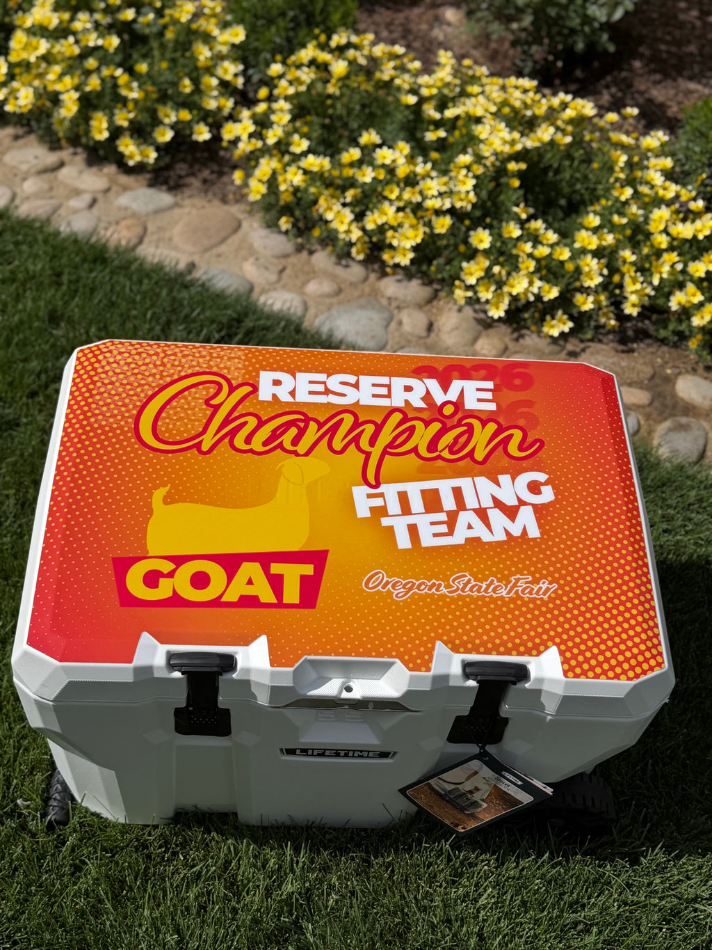 Lifetime Cooler