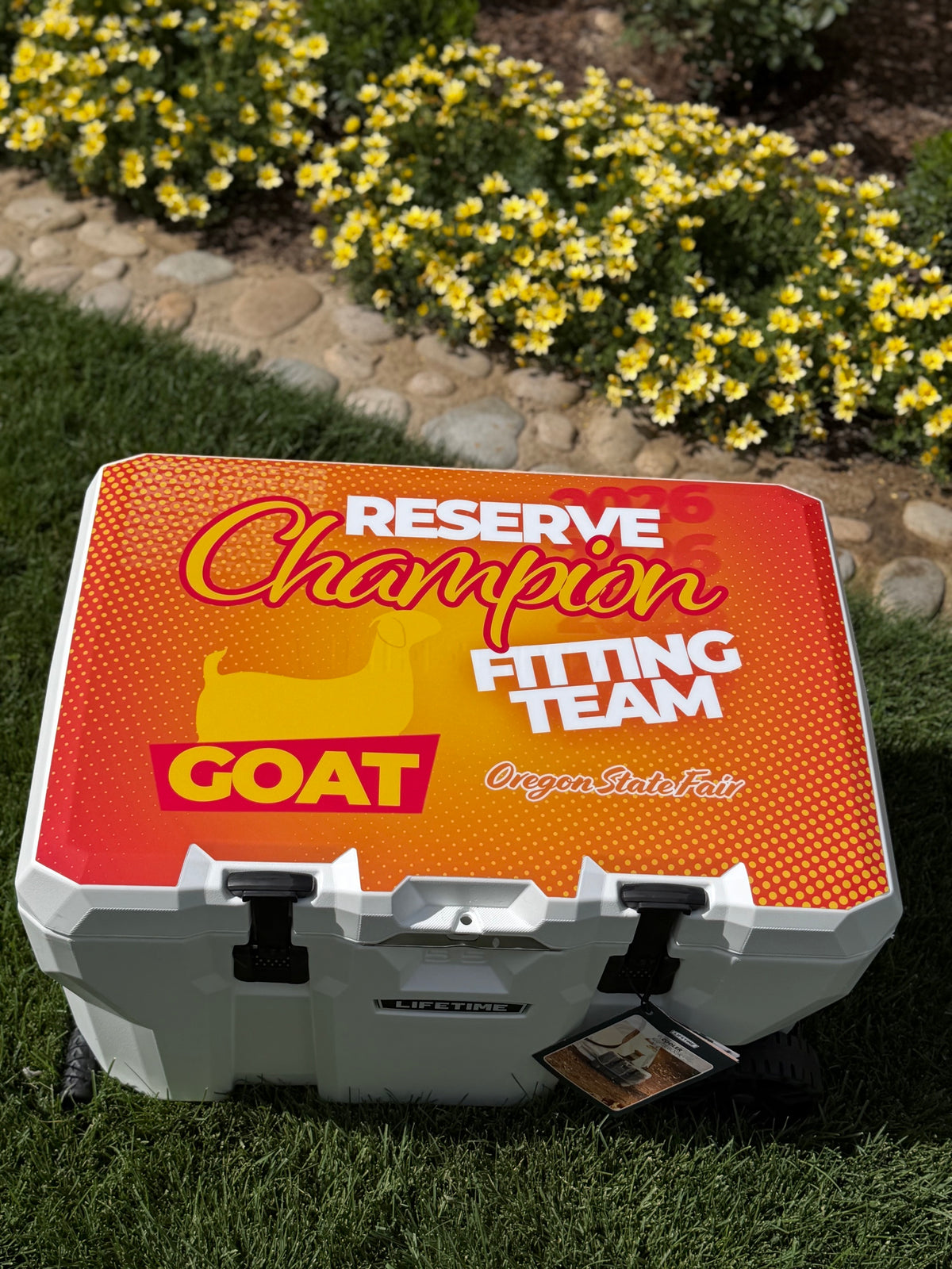 Lifetime Cooler