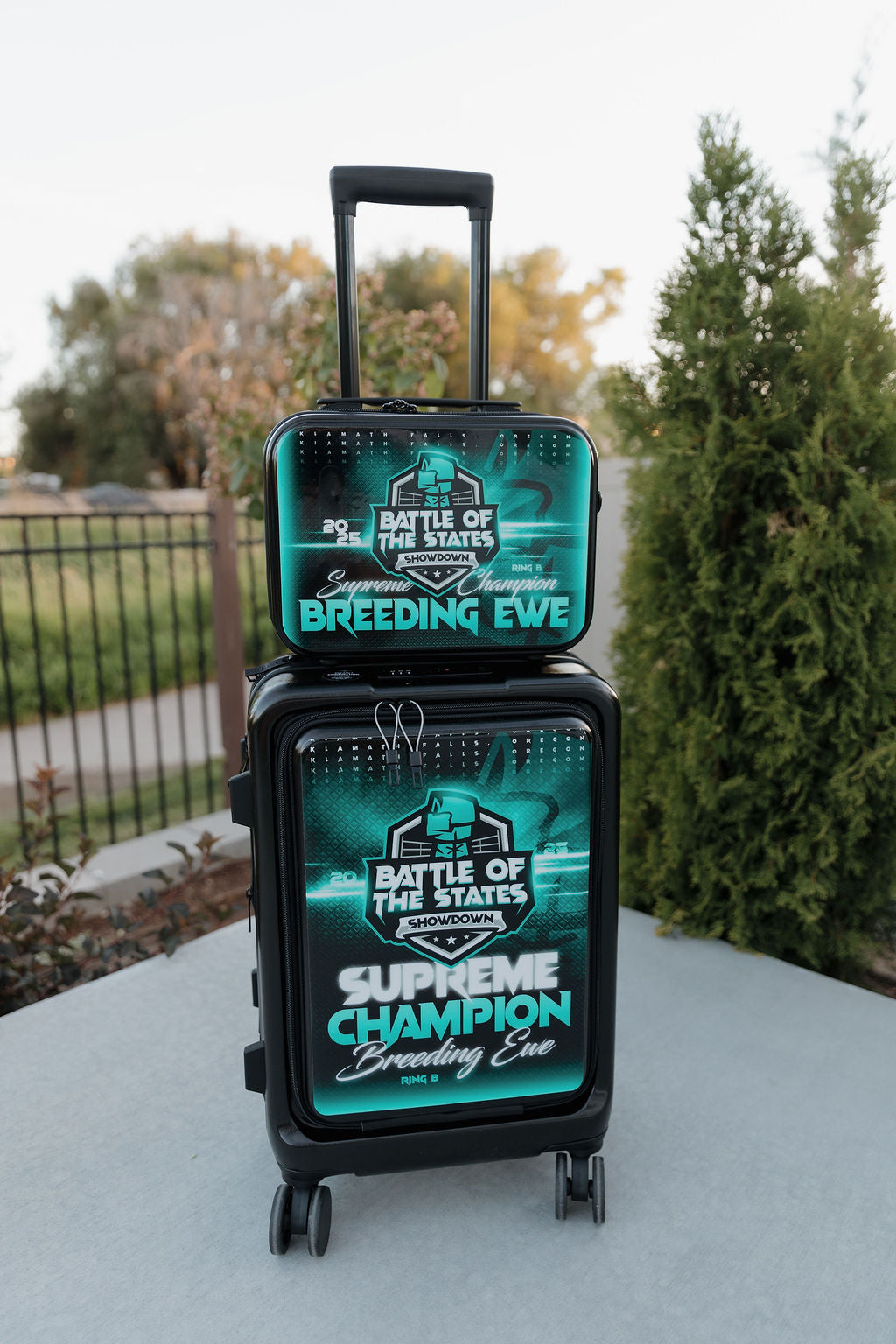 Wrapped Carry-On Suitcase Set