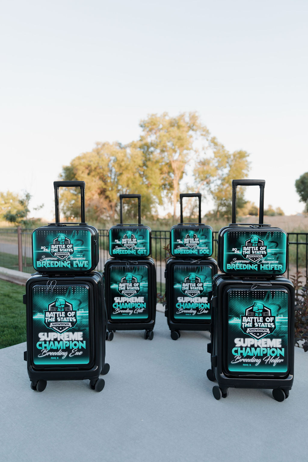 Wrapped Carry-On Suitcase Set