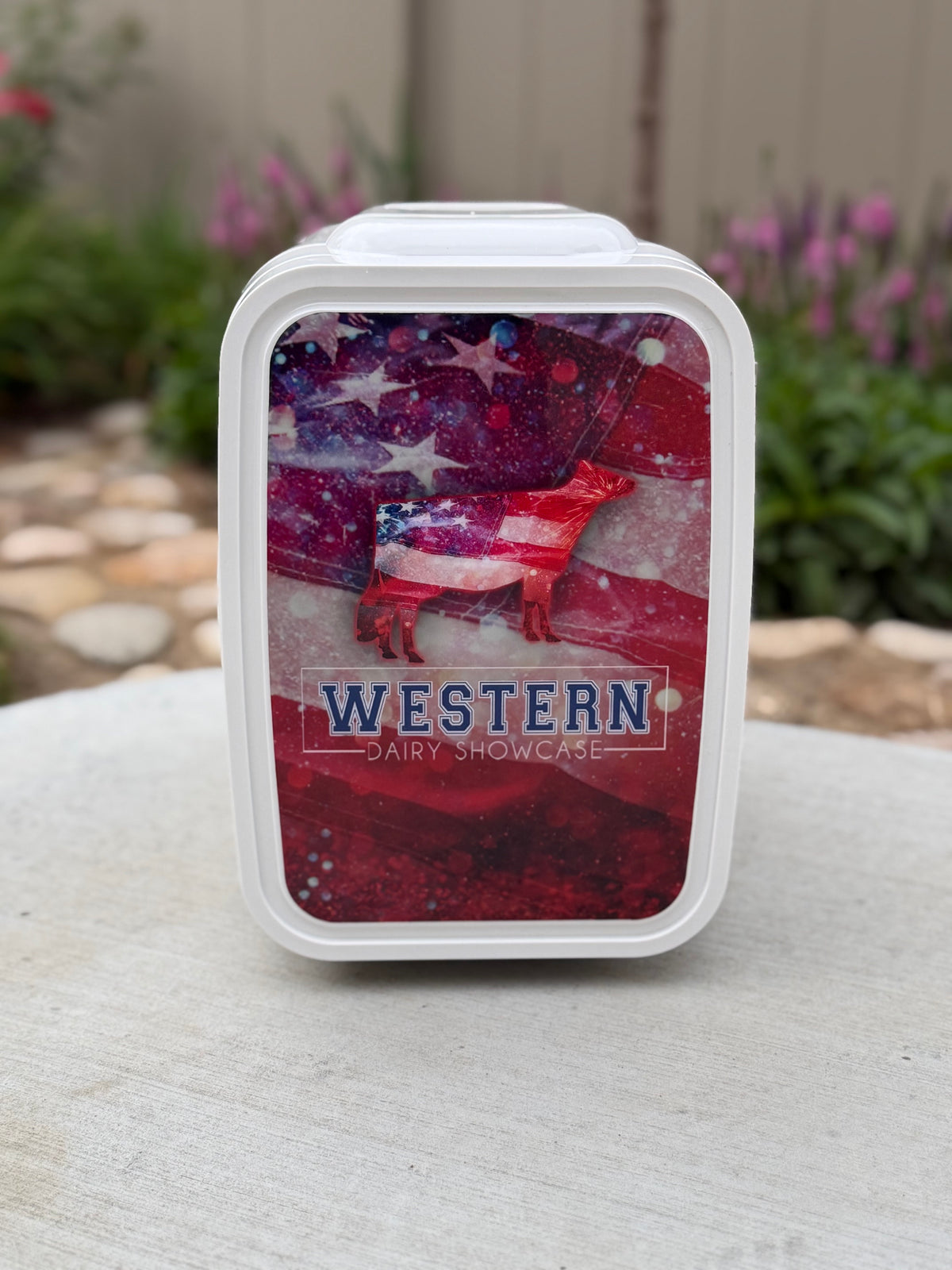 6 Can Mini Fridge